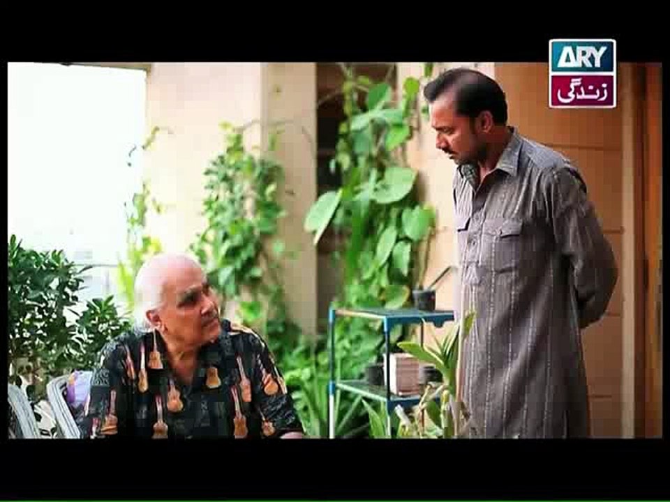 Bay Gunnah Episode 75 on Ary Zindagi