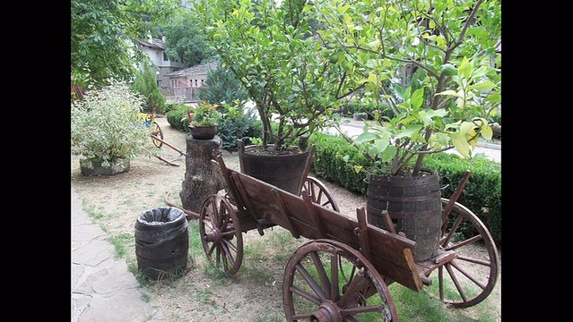 7 Home Remedies That Cure Angina