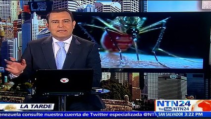 “Nos preocupa que la amenaza del zika está haciendo que las mujeres busquen el aborto sin la información apropiada”: directora de ONG holandesa
