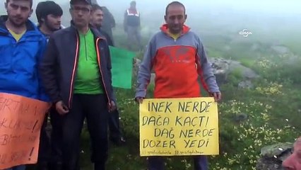 'Yeşil Yol'a Havva Ana İsyanı: Vali Çapulcu Diyor, Halkım Ben