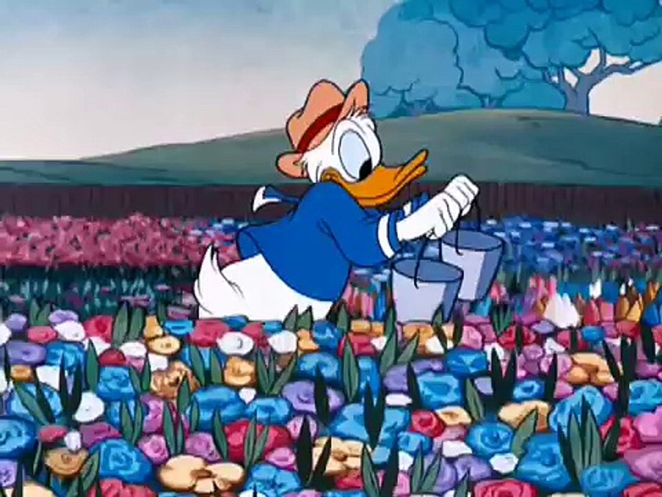 Donald Duck - Bee On Guard