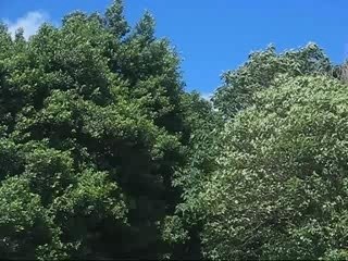 Freebord Windy session