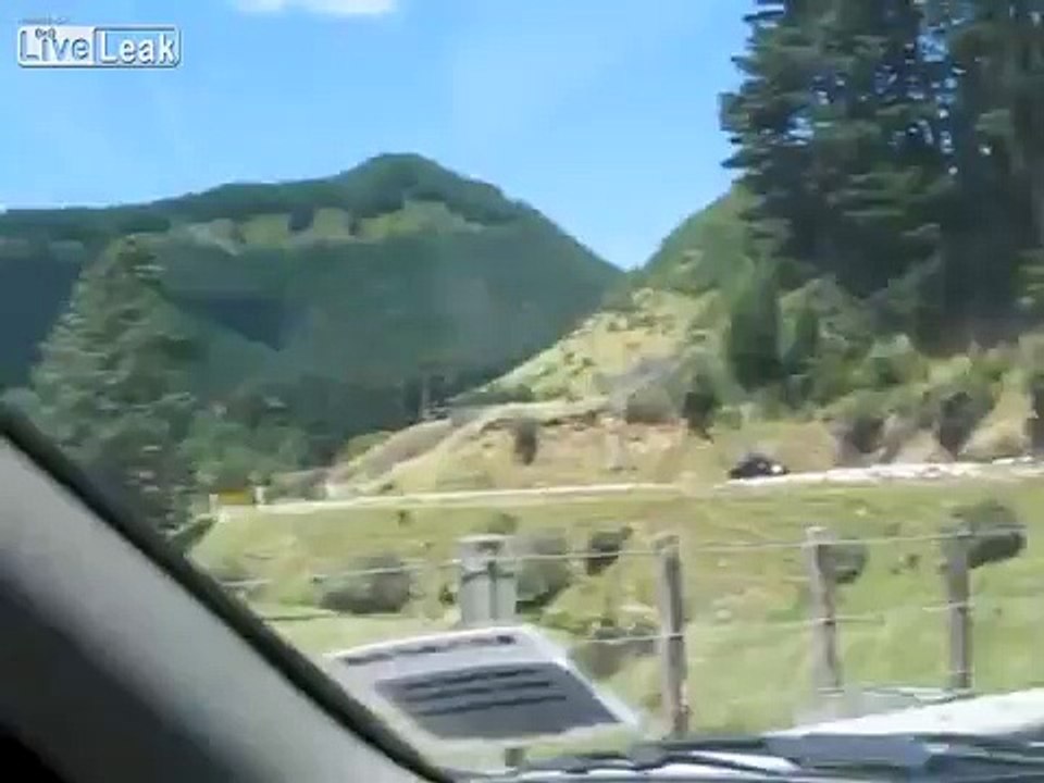 This is wonderful, this is New Zealand'   LAMB PEDE (Funny Videos 720p)