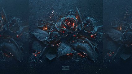 Future - Program (EVOL)