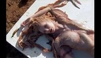 Real Mermaid in Pakistan پاکستان میں جل پری کی دریافت