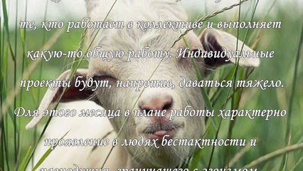 Фэн-шуй прогноз на июль 2015 года