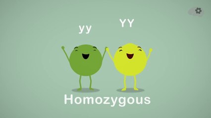 Как горох Менделя помог нам понять генетику