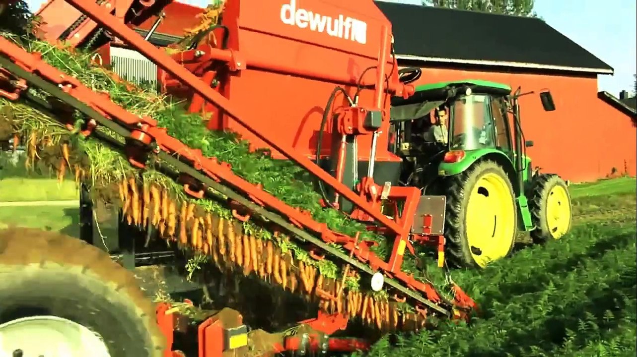 Modern Tarım - Havuç Hasat Makinası