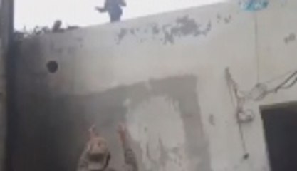 Cesaret mi yoksa cehalet mi?