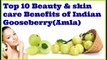 Top 10 Beauty & skin care Benefits of Indian Gooseberry(Amla)