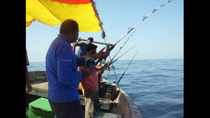 Salt water fishing: 2 big macks on 5th Feb'16