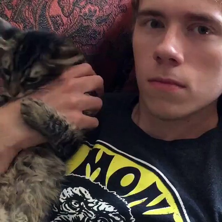 Get a cat, they said.