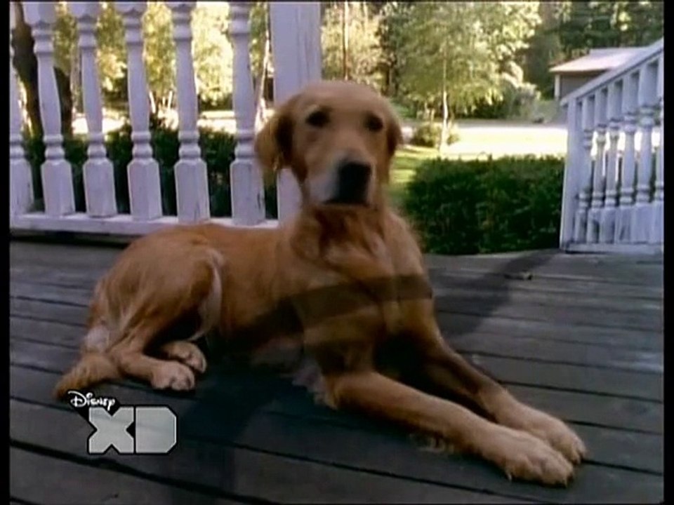 Gänsehaut S02E18 Kuck mal was da kriecht