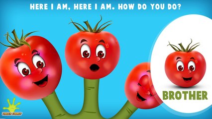 Chocolate Chips Finger Family Collection | Top 25 Finger Family Collection | Finger Family Songs