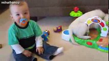 Kittens And Puppies Playing With Babies Compilation