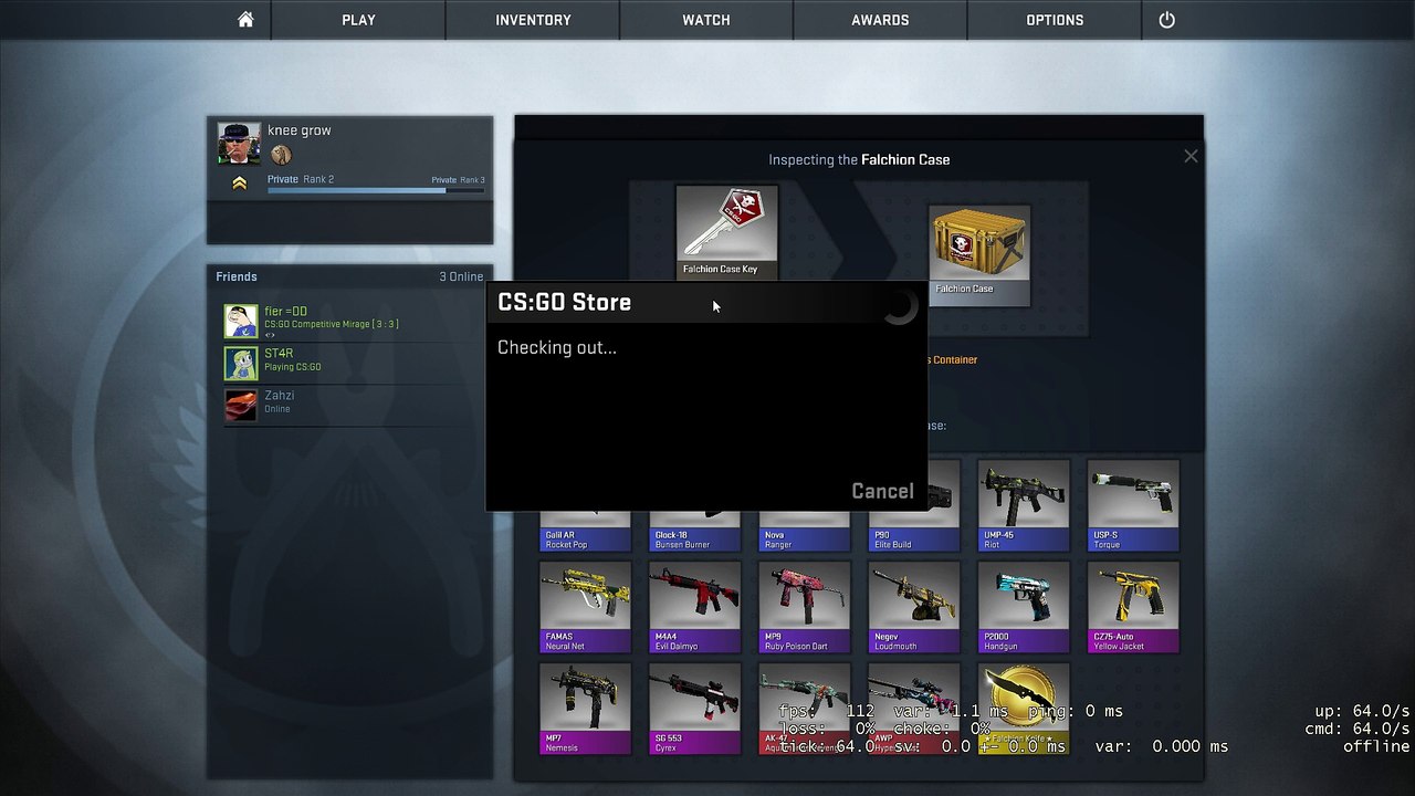CSGO Case unboxing + Inventory Showcase! video Dailymotion