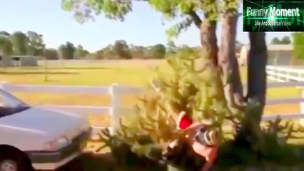 Funny Videos - Funny Fails Try Not To Laugh Challenge Best Funny Videos 2016 # Episode 02