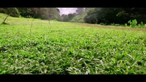 Dhivara Lyrical Video Song -- Baahubali (Telugu) -- Prabhas, Tamannaah, Rana, Anushka -- Bahubali