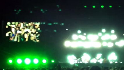 Pearl Jam - animal and save you Foro Sol Nov 28 2015 (1024p FULL HD)