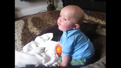 Funny Baby Laugh Compilation - Mega Laughter and Sleeping Laugh