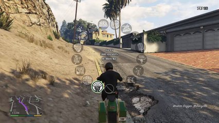 Grand Theft Auto V_back flip