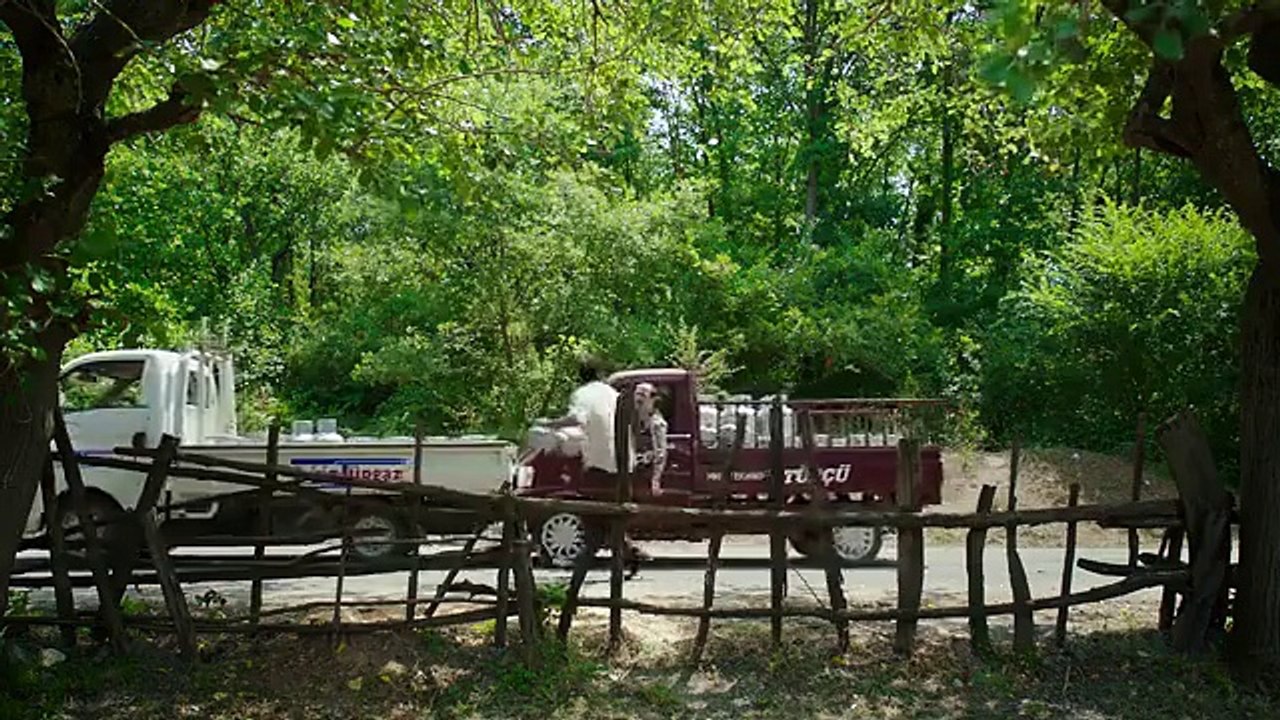 Düğün Dernek 2 Sünnet - Yeni Uzun Fragman