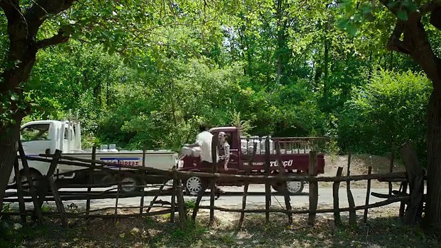 Düğün Dernek 2 Sünnet - Yeni Uzun Fragman