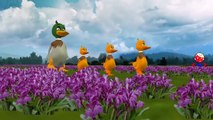 Five Little Ducks Went Out One Day Nursery Rhymes for Children | Five Little Ducks Rhymes