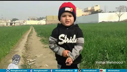Inshal Mehmood Support Peshawar Zalmi After Great victory Yahoo 2nd video