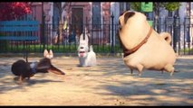 PETS – VITA DA ANIMALI: secondo trailer italiano ufficiale