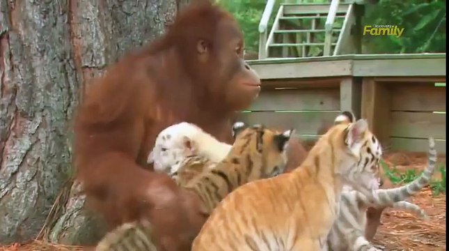 «Возлюби ближнего твоего, как самого себя» (МАТФЕЯ 2239).