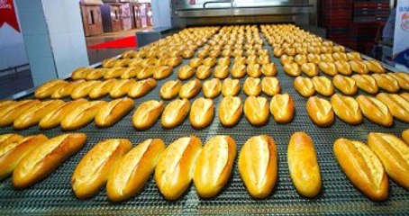 Zamlı Ekmeğin Vatandaşa Yıllık Faturası 8 Milyar Lira