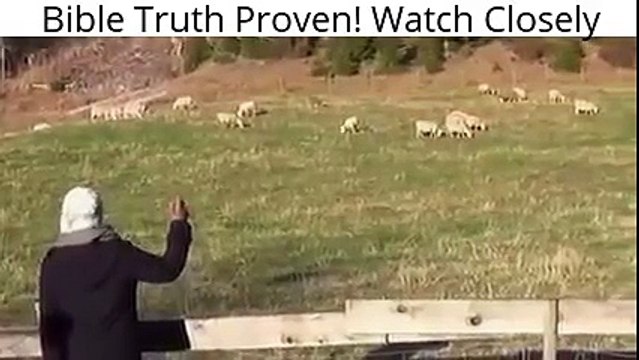 Заботливый пастух, зовёт своих овец по именам, выводит их и овцы слушаются её голоса.