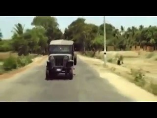 Шедевр - обезьяна водит автомобиль.Индия.