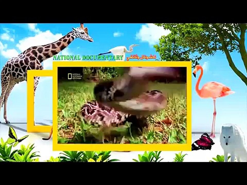 ناشيونال جيوغرافيك ألعاب العقل وثائقي  Nat Geo Abu Dhabi