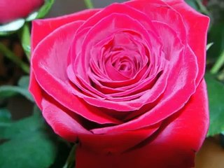 WILL YOU BE MY VALENTINE