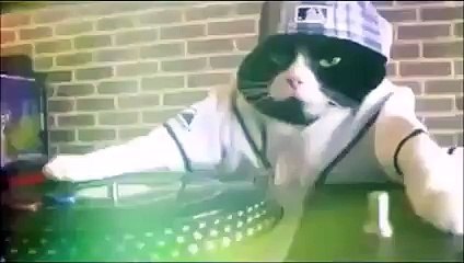 Kitty is DJing 2016 WOWWOW!!!