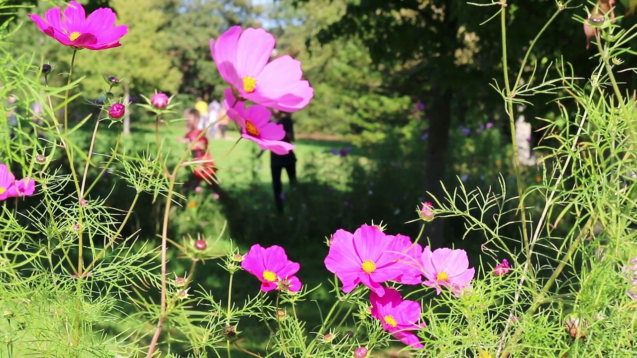 super court métrage de Valentin Jean