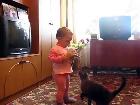 Мама-кошка забрала своего котенка у малыша =^_^=