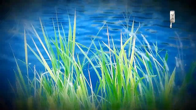 Стриптиз (Танцует осень)- Стас Михайлов (2015)