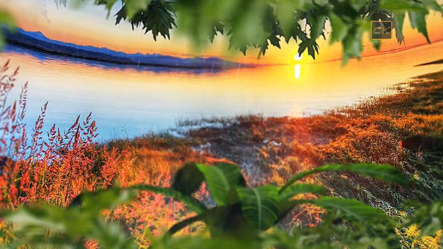 Слёзы осени - гр Рок острова (2015)