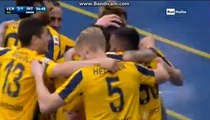 Artur Ionita goal Hellas Verona 3-1 Inter Milan 07/02/2016