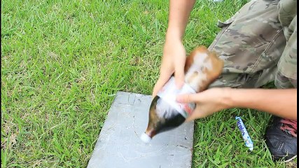 Diet Coke Mentos Rocket