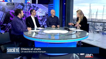 Chiens et chats : un seul être vous manque ....