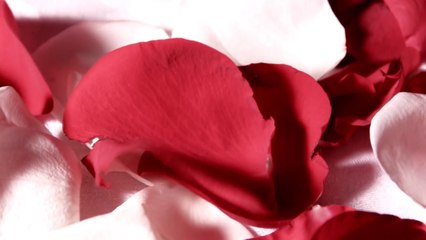 Stunning HD Love Video Backgrounds for Your Projects 💖