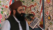 SAYYED SHABIR HUSAIN SHAH HAFIZABADI..KARBALA...SAYYED ZAHEER AHMAD HASHMI,must watch -