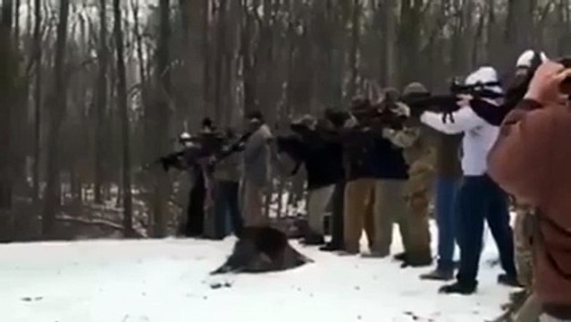 Couper un arbre à l'américaine... Coups de fusil