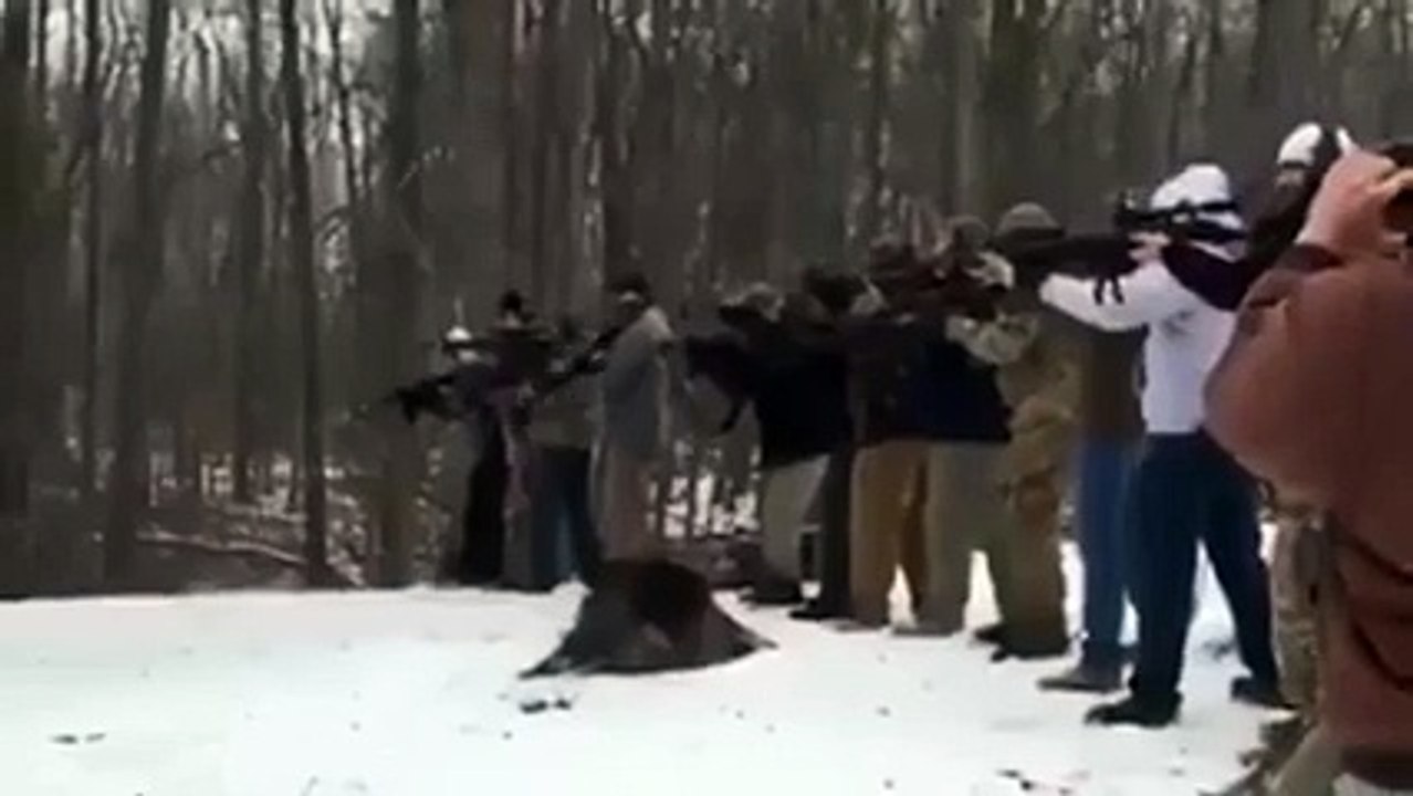 Couper un arbre à l'américaine... Coups de fusil