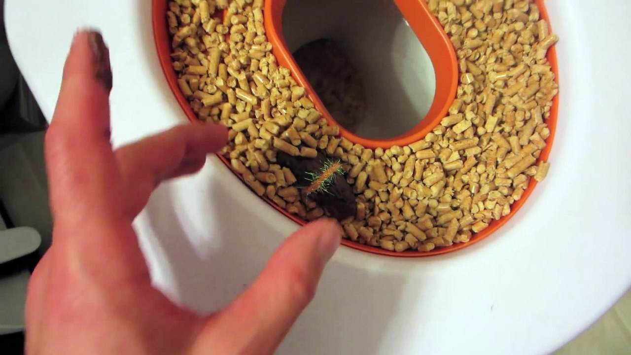 APRIL FOOLS POOP PRANK