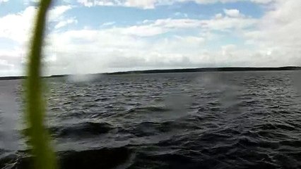 24 августа 2012 года. Кайтинг. Поток. Рязань. Часть 2